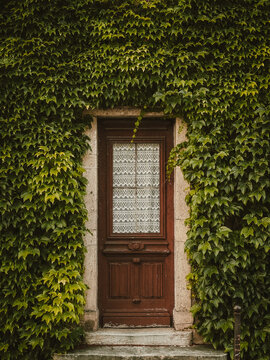 facade of old house