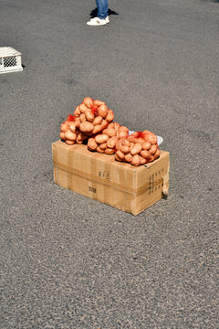 Red potato sacks on box under bright Mediterranean midday sun

