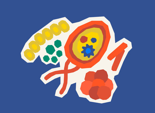 Abstract organic shapes composition in colorful flat illustration