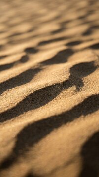 Abstract rippled desert sand texture with soft shadows and golden hour lighting