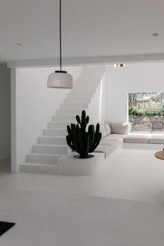A living room with stairs featuring a giant cactus