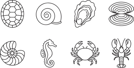 Marine life and shell collection set icons © HM