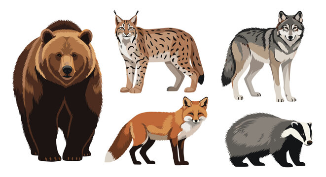 Detailed animal set featuring a brown bear, lynx, wolf, fox, and badger in a realistic naturalistic illustration style.