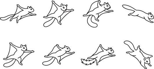 Fototapeta premium Collection of flying squirrels in various poses