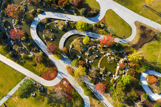 geometric park with colorful autumn trees.