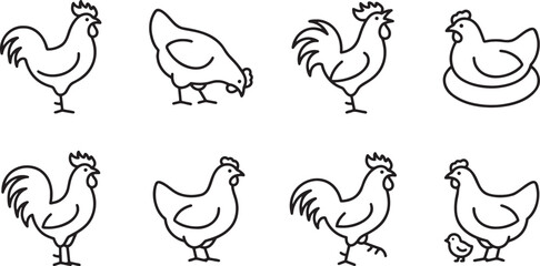 Collection of chickens, roosters, and hens in yard © HM