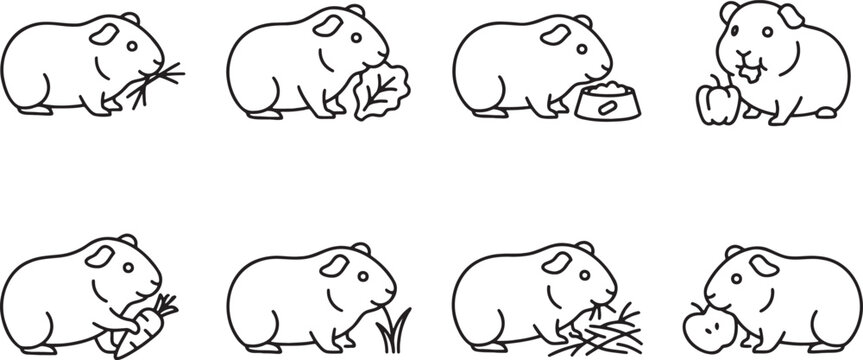 Set of cute guinea pigs in different activities