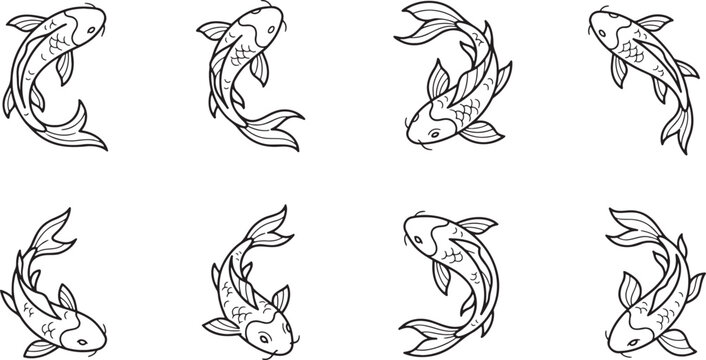Collection of beautiful koi fish swimming