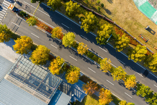 geometric park with colorful autumn trees.
