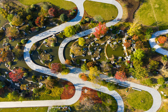 geometric park with colorful autumn trees.