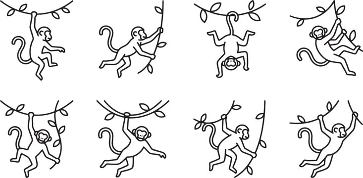 Collection of monkeys swinging and playing