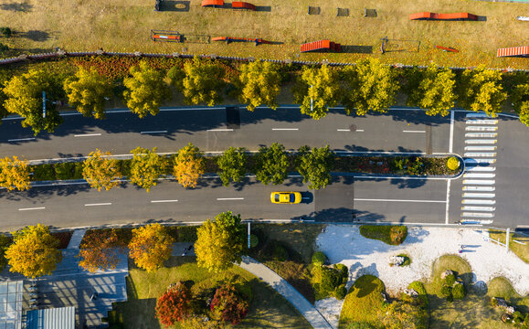 geometric park with colorful autumn trees.