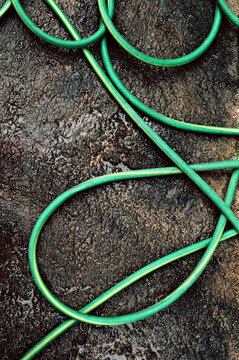 Green hose left on wet asphalt