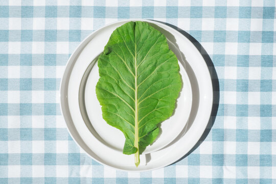Leafy Green Vegetable on Plate