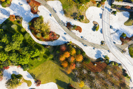 geometric park with colorful autumn trees.