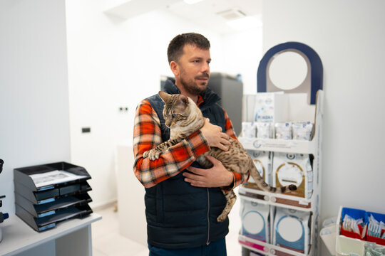Holding Bengal Cat in Veterinary Clinic