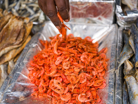 Dried Shrimp Vendor at Pettah Market, Colombo