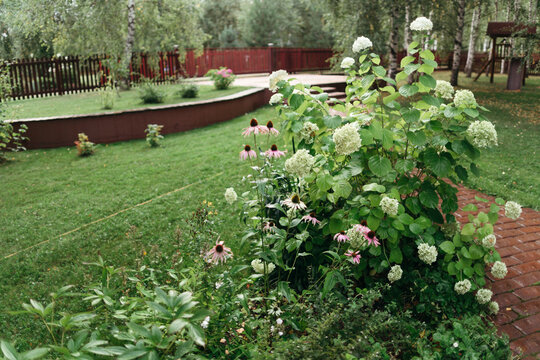 Beautiful Garden Blooms in a Serene Backyard Setting