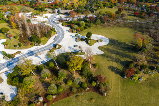 geometric park with colorful autumn trees.