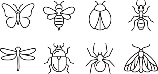 Various insect and bug species collection © HM