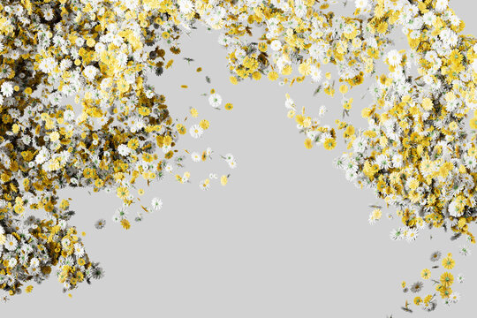 Top Floral Border Yellow White Abstract Frame Design