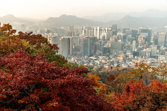 Seoul city skyline with autumn foliage from mountain viewpoint