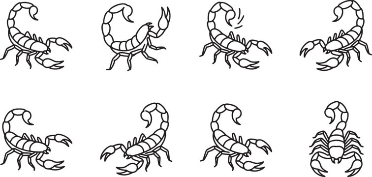 Scorpion and stinging insect set