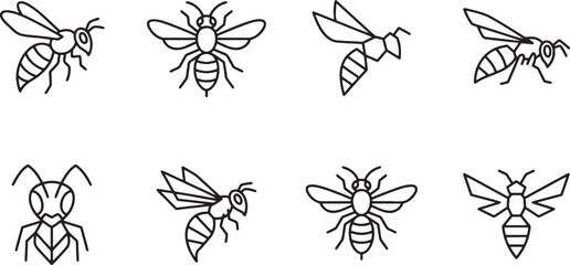 Bee and wasp insect species icons © HM