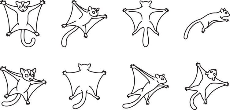 Flying squirrel and glider animal icons