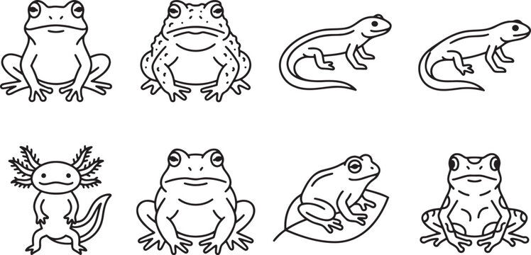 Frog and amphibian species collection icons