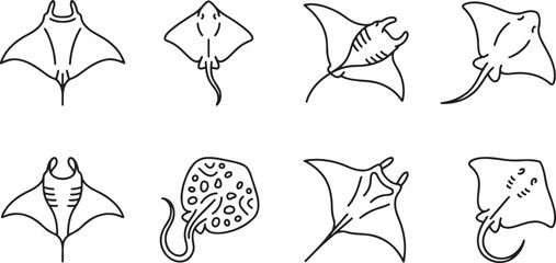 Stingray and sea ray fish swimming underwater © HM
