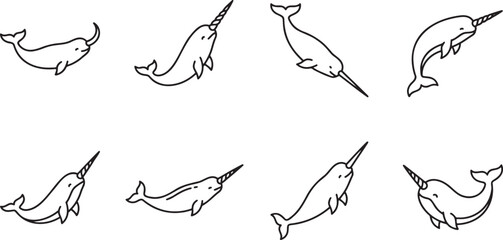 Narwhals swimming with horns in arctic water © HM