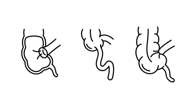 Set of medical line icons showing human appendix and colon anatomy for educational purposes.