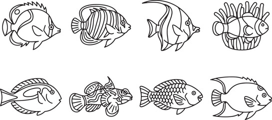 Various exotic fish in coral reefs © HM