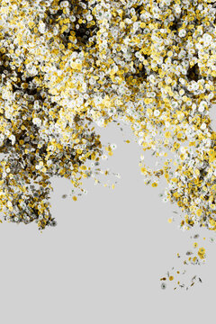 Floral Border Frame Yellow White Abstract Background