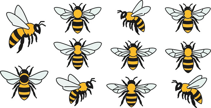 Bees, a group of flying insects with yellow and black stripes, transparent wings, and black legs on a white background