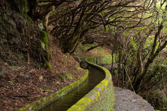 Levada canal and stone path in forest Madeira