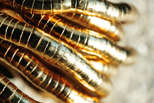 Gold Rings Stacked in an Artistic Design on a Light Background