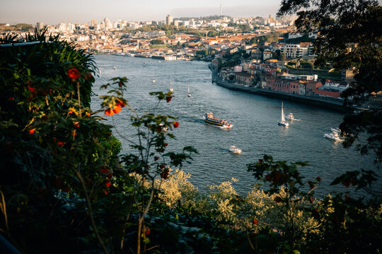View of City From Hill Near River With Boats and Buildings Below