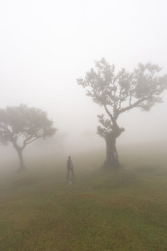 Vertical foggy landscape with person in Fanal forest