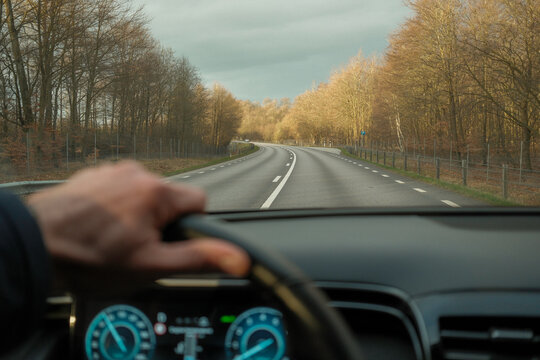Driving on Curved Forest Road
