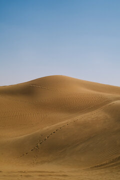 Footprints across rippled desert dunes