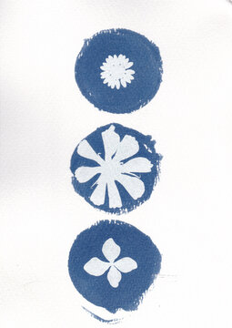 Cyanotype of flower botanical shapes in circles