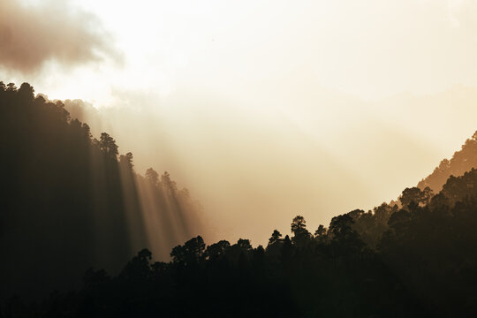 Morning sun rays through misty forest valley on La Palma