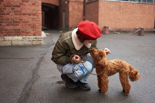 Person in red beret kneels to meet curly brown dog in an urban area 
