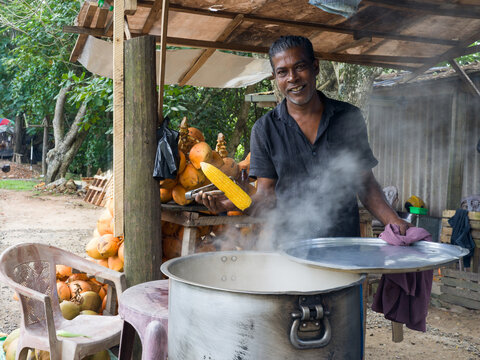 Man Cooking Corn at a Roadside Stand in Sri Lanka