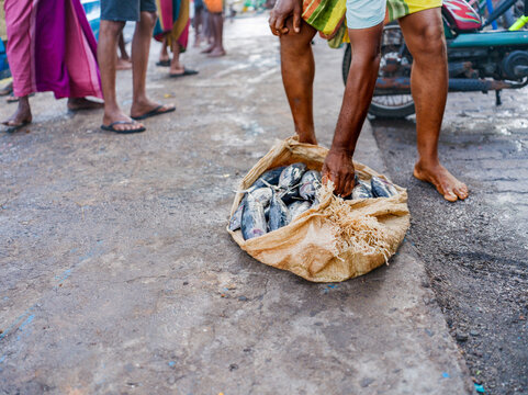 People Gather Around a Market in the Morning to Buy Fresh Fish