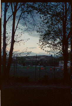 Evening football field framed by trees