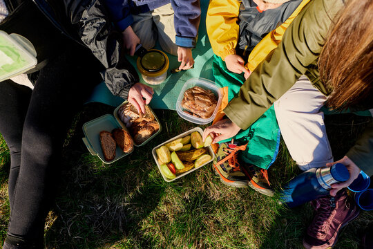 Family picnic from above on grassy meadow