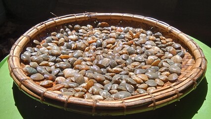 "Fresh clams arranged in traditional woven bamboo basket, close-up of seafood harvest on rustic tray, natural sunlight, Indonesia." © MAYU